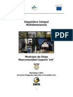 Diagnóstico Integral Multidimensional del Municipio de Olopa