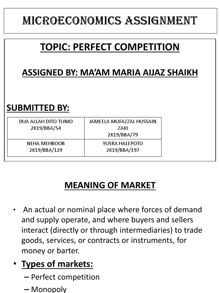 micro economics assignment pdf