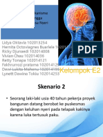 Sken 2 E2