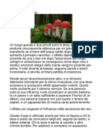 Agaricus Muscarius