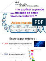 2. Ácidos Nucleicos Alunos- 11º