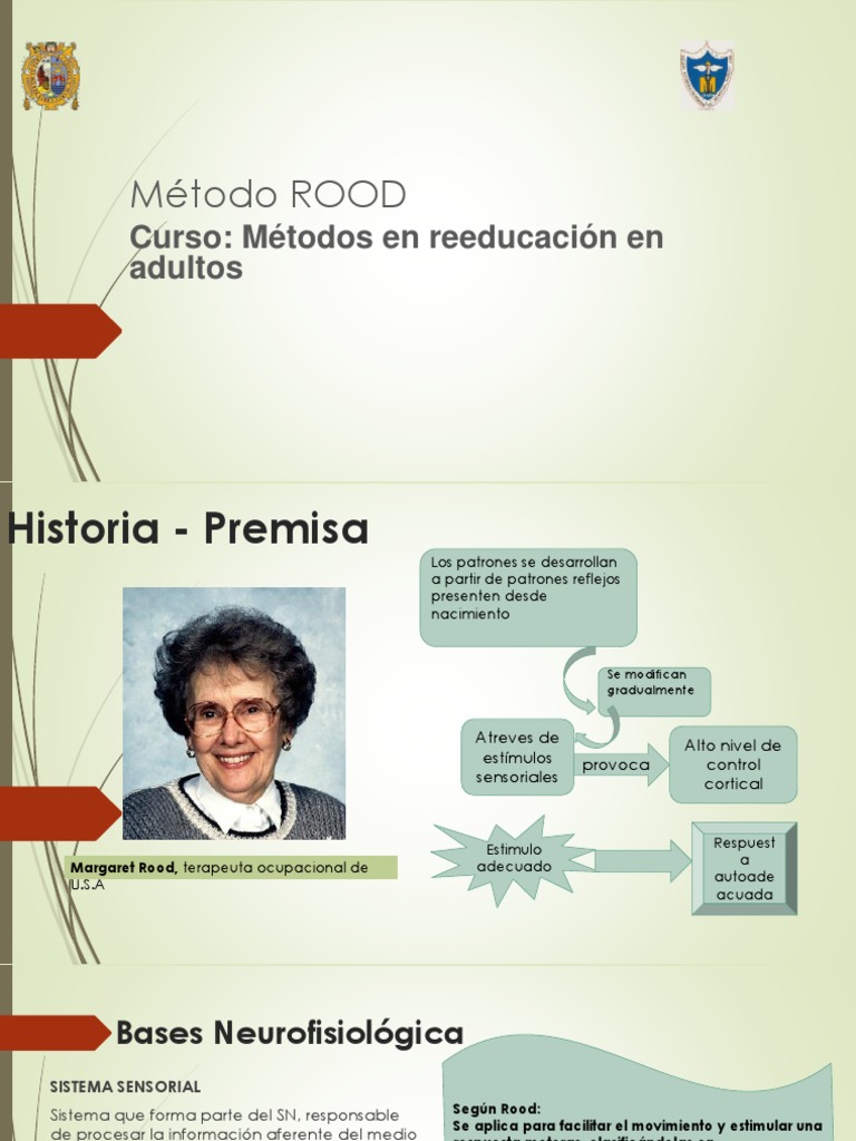 Metodo Rood | PDF | Músculo | Sistema nervioso