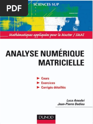 Luca Amodei Jean Pierre Dedieu Analyse Numerique Matricielle Cours Et Exercices Corriges Dunod 2008 Pdf Valeur Propre Vecteur Propre Et Espace Propre Matrice Mathematiques
