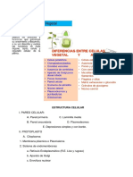 ESTRUCTURA CELULAR Exa