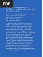 relacoes_ceu_terra_entre_os_indigenas_no_Brasil.pdf