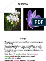 BUNGA Edit 2019 Sept PDF