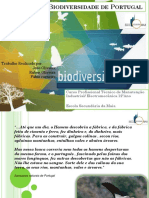 Bio Divers i Dade