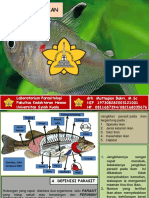 Cara Mengatasi Parasit Pada Ikan