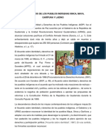 Los Derechos de Los Pueblos Indígenas Xinca, Maya, Garífuna y Ladino