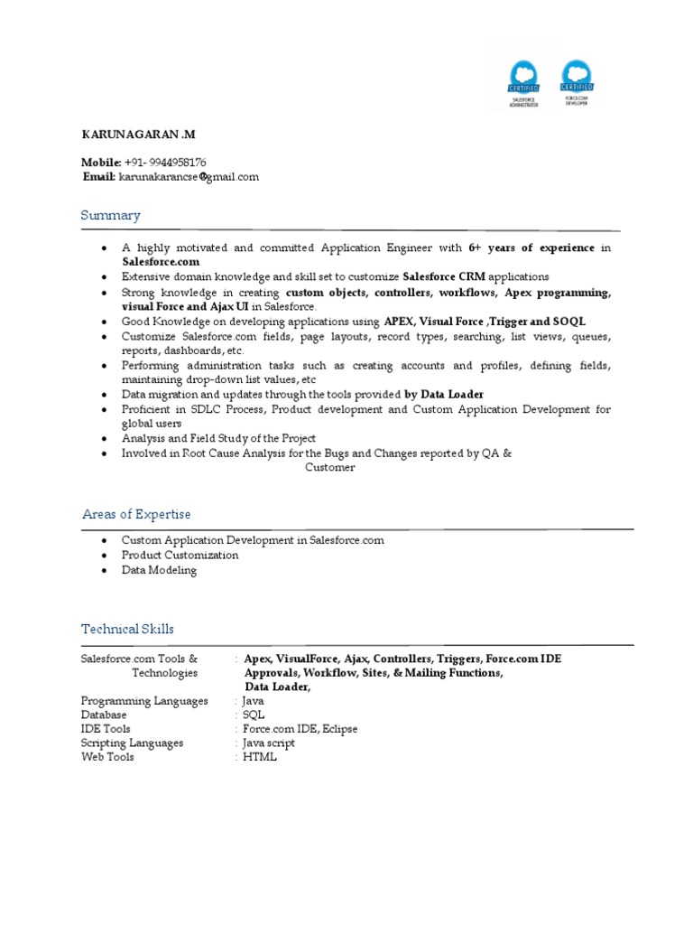 Salesforce Sample Resume Template PDF Salesforce Com Software