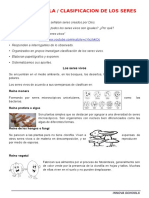 fichas de aplicación de ciencia y ambiente 5to grado