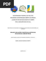 Relações Educacionais Artisiticas Ecológicas Comunitárias IAAD Estágio IV Daniel Moacir Moraes de Brito
