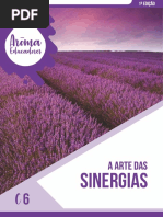 C6 - Sinergias (1).pdf