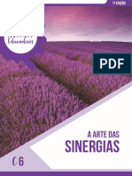C6 - Sinergias PDF