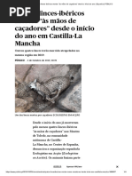 Quatro Linces-ibéricos Mortos Às Mãos de Caçadores Desde o Início Do Ano _ Espanha _ PÚBLICO