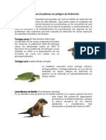 Animales Acuáticos en peligro de Extinción.docx