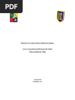 Versin Final Proyecto Educativo Institucional
