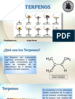 Terp Enos