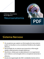 revisaoneuroanatomia1pdf_1558046428.pdf