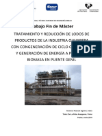 TFM - Iratxe Pascual PDF