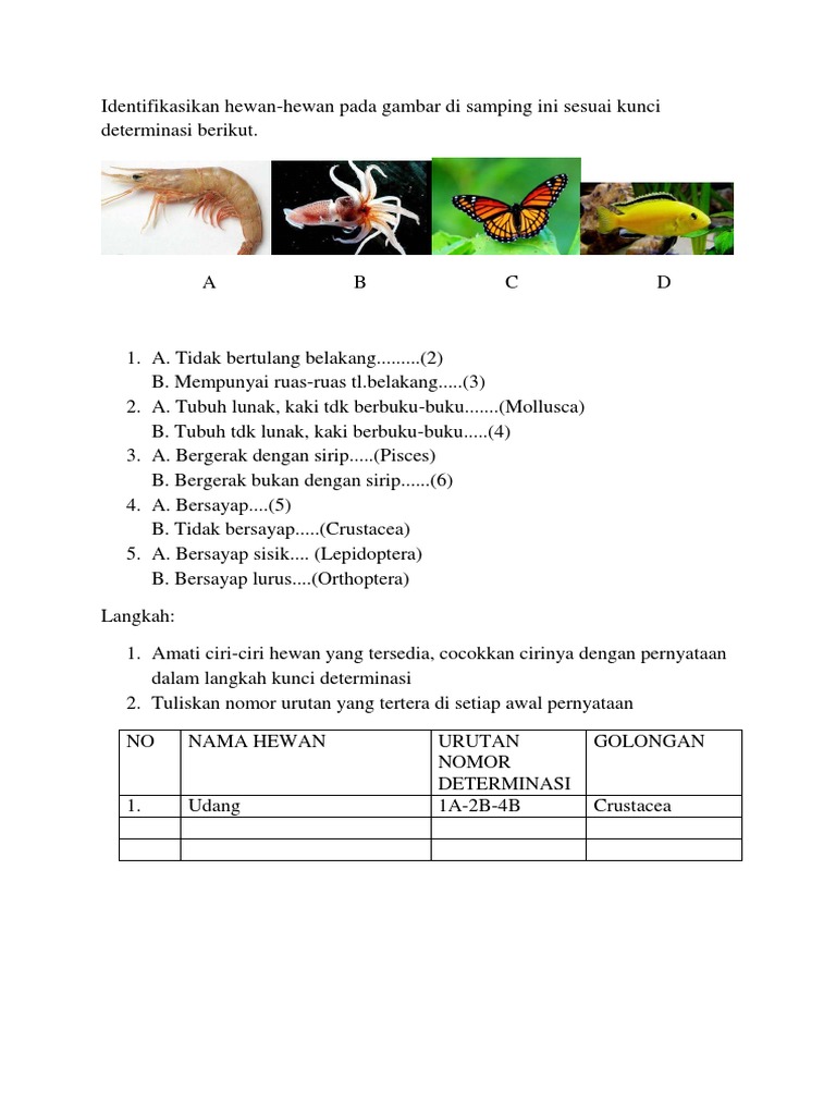 Contoh Kunci Determinasi PDF