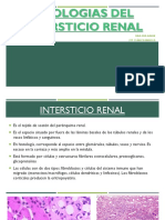 Patologias Del Intersticio Renal