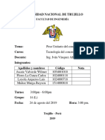 Informe Peso Unitario