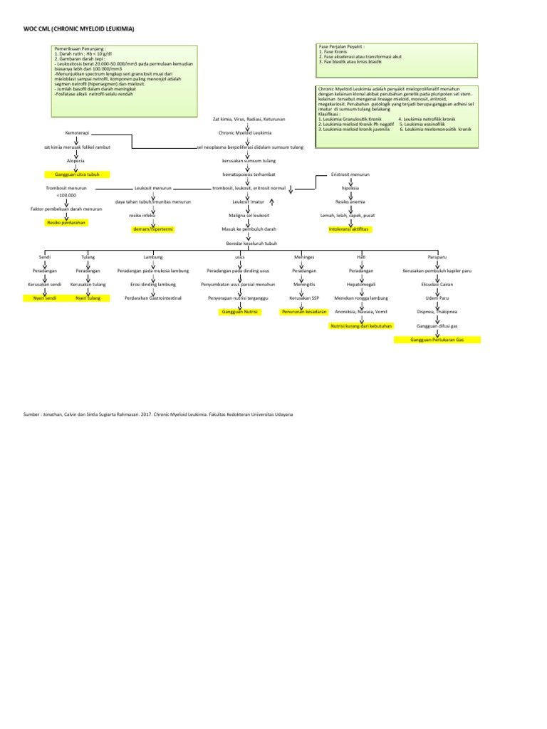 Pathway Chronic Myeloid Leukemia | PDF