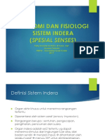 Anatomi Dan Fisiologi Sistem Indra (Special Senses)
