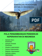 Pola Pengembangan Pendidikan Keperawatan Di Indonesia