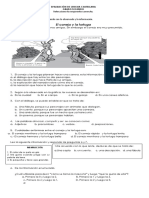 Evaluación de Lengua Castellana para grados 2do a 5to