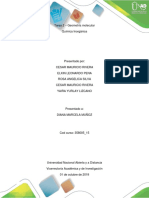 Tarea 2 – Geometría Molecular