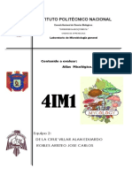 Atlas micológico.docx