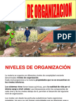 nivelesdeorganizacin-160709201523