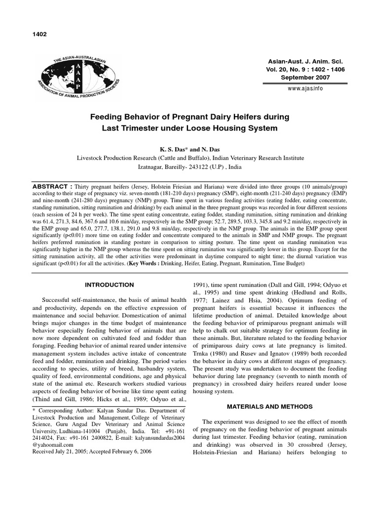 Feeding Behavior of Pregnant Heifers | PDF | Dairy Cattle | Cattle