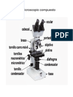 Microscop I o