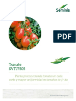 Tomate Saladette SVTJ7505