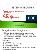 +sistem Integumen