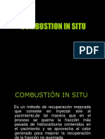 Combustion in Situ