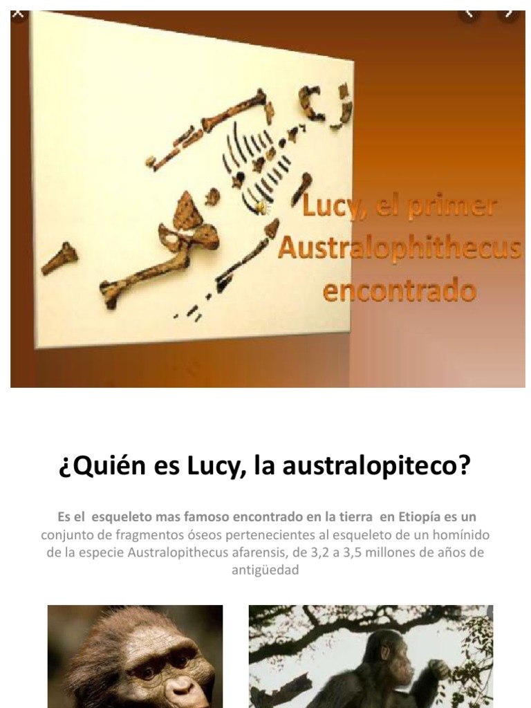 Lucy: El Australopithecus Afarensis | PDF | Lucy (Australopithecus ...