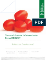 Tomate Saladette Reina DRK2189