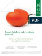 Tomate Saladette Malinche