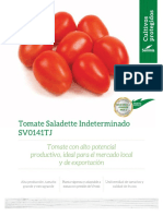Tomate Saladette SV0141TJ