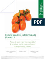 Tomate Saladette SV4401TJ