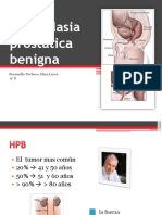 hiperplasiaprostticabenigna-101117125105-phpapp01