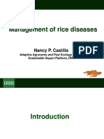Management of Rice Diseases: Nancy P. Castilla