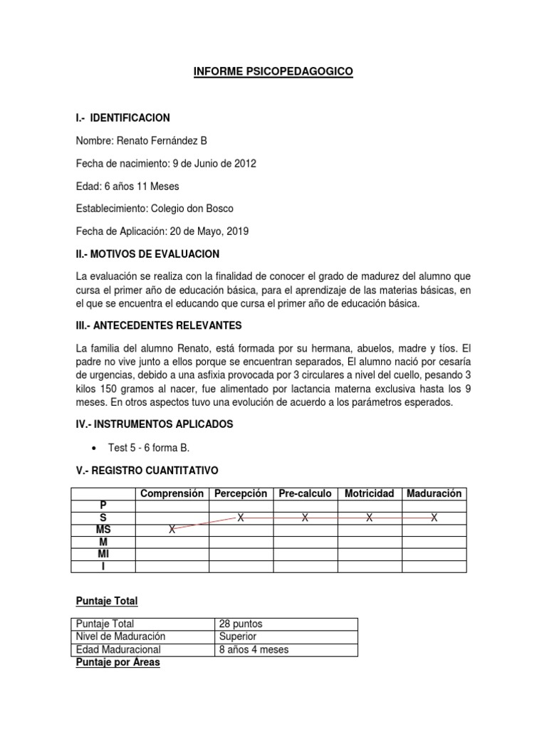 Informe Psicopedagógico Test 5 y 6 | PDF | Cognición | Aprendizaje