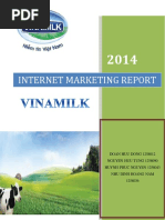 Internet Marketing Report