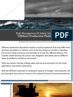 Offshore Risk Management Services