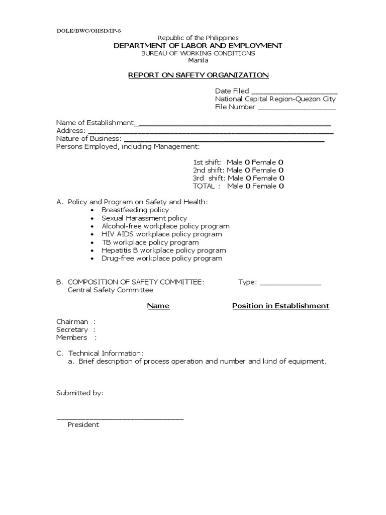 2 OSHS Health and Safety Organization | PDF